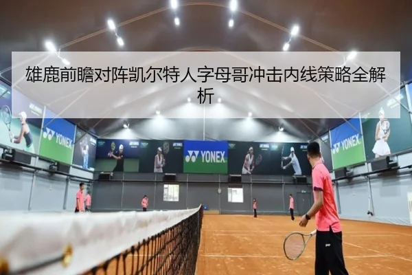 雄鹿前瞻对阵凯尔特人字母哥冲击内线策略全解析