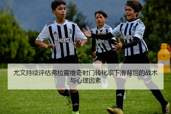 尤文持续评估弗拉霍维奇射门转化率下滑背后的战术与心理因素（kaiyun）
