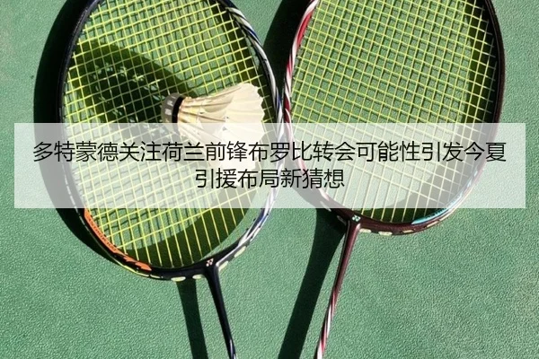 多特蒙德关注荷兰前锋布罗比转会可能性引发今夏引援布局新猜想